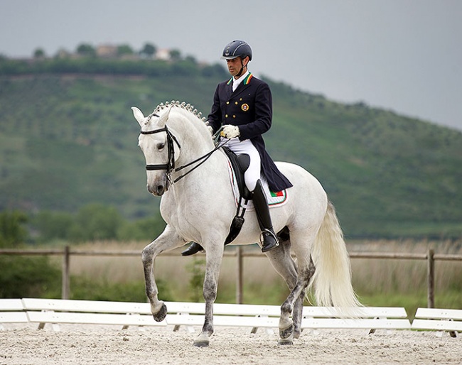 Rodrigo Torres and Fogoso Horse Campline at the 2021 CDI Abrantes :: Photo © Rui Pedro Godinho