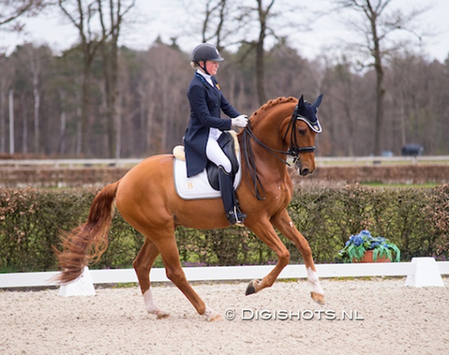 Zoe Kuintjes and Don Clorentino des Paluds at the 2021 KNHS Dutch Talentplan meeting in Ermelo :: Photo © Digishots