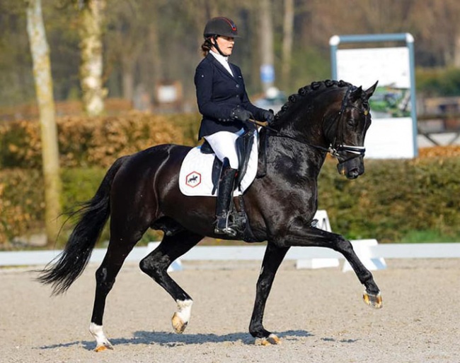 Thamar Zweistra and Kaygo at the 2021 Dutch WCYH Selection Moment in Ermelo :: Photo © Digishots