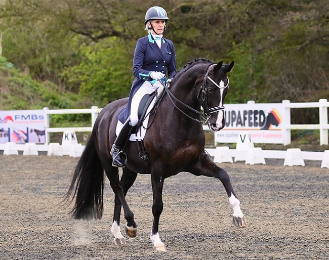 Sarah Cheetham of Flying Changes, riding Stoiber's Black Pearl (by Stoiber N x Sir Donnerhall I)