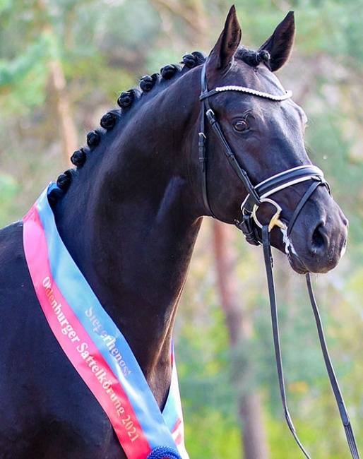 Splendid (by San Amour x Dream Boy) :: Photo © LL-foto