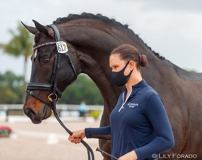 U.S. Team regular Adrienne Lyle waited until the last CDI of the 2021 Global Dressage Festival to compete her number one Salvino after his 13-month show break. She will have two more options (CDI Ocala/CDI Tryon) to achieve her second mandatory GP Special score in order to be short listed for the team :: Photo © Lily Forado