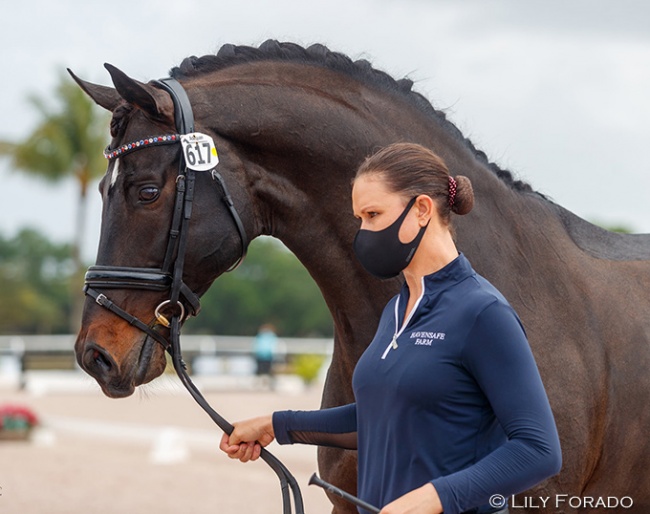 U.S. Team regular Adrienne Lyle waited until the last CDI of the 2021 Global Dressage Festival to compete her number one Salvino after his 13-month show break. She will have two more options (CDI Ocala/CDI Tryon) to achieve her second mandatory GP Special score in order to be short listed for the team :: Photo © Lily Forado