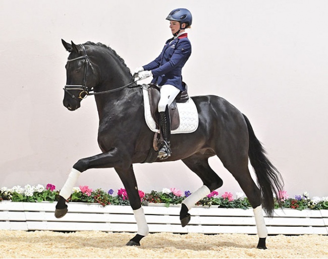 Splendid (by San Amour x Dream Boy) :: Photo © Feldhaus