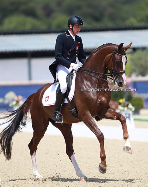 Tomasz Jasinski and Shosholoza at the 2015 European Young Riders Championships :: Photo © Astrid Appels