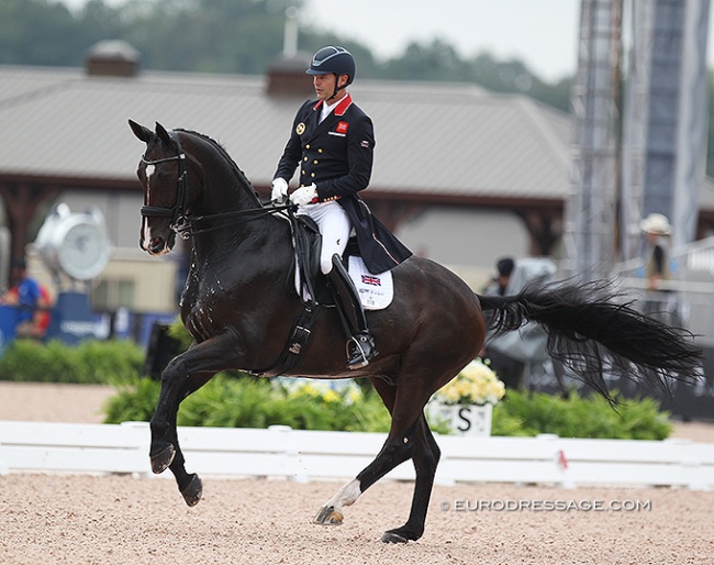 Spencer Wilton and Super Nova at the 2018 World Equestrian Games in Tryon :: Photo © Astrid Appels