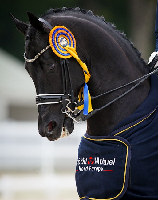The beautiful Compiegne ribbon and winner's cooler sponsored by Crédit Mutuel Nord Europe :: Photo © Astrid Appels