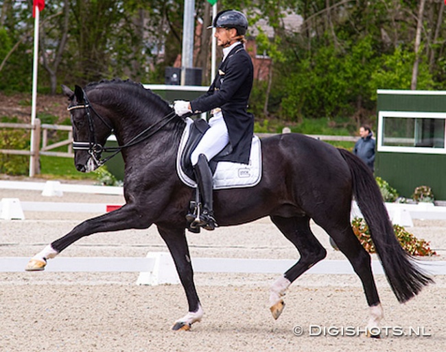 Edward Gal and Toto Jr at the 2021 CDI Exloo :: Photo © Digishots