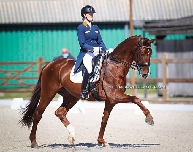Madeleine Witte-Vrees and Cennin at the 2021 CDI Grote Brogel :: Photo © Astrid Appels