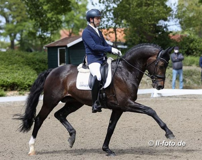 Manuel Dominguez Bernal and Escamillo at the 2021 Haftenkamp BuCha qualifier :: Photo © LL-foto