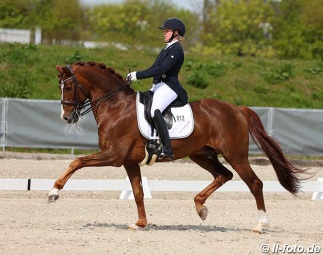 Emma Kanerva and Eye Catcher at the 2021 CDI Verden, competing in the national classes :: Photo © LL-foto
