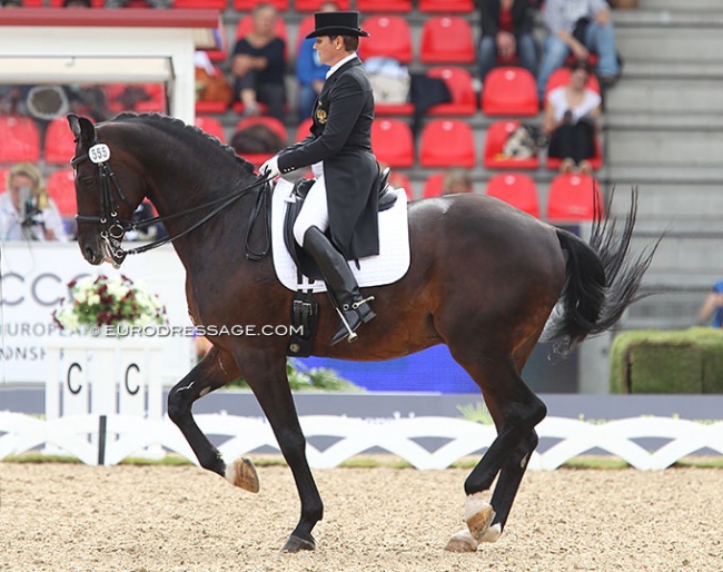Tatiana Dorofeeva and Khorovod at the 2013 European Dressage Championships in Herning :: Photo © Astrid Appels