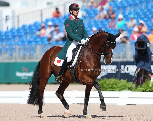 Ismail Jilaoui and What a Feeling at the 2018 World Equestrian Games :: Photo © Astrid Appels