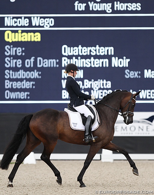 Nicole Wego-Engelmeyer on Quiana at the 2019 World YH Championships in Ermelo