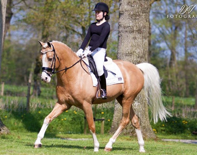 Desiree Veenstra and Le Matsjo :: Photo © DV Fotografie