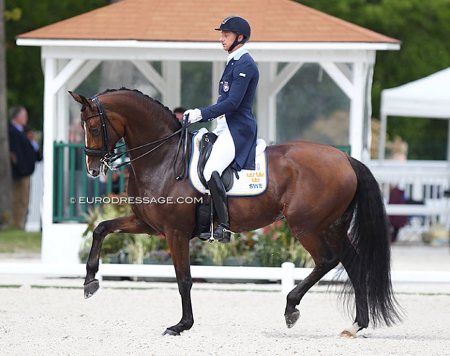 Patrik Kittel and Well Done de la Roche CMF at the 2021 CDIO Compiegne :: Photo © Astrid Appels