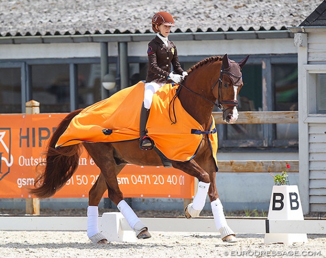 Agata Zakhrabekova and Ein Champion at the 2021 CDI Grote Brogel :: Photo © Astrid Appels