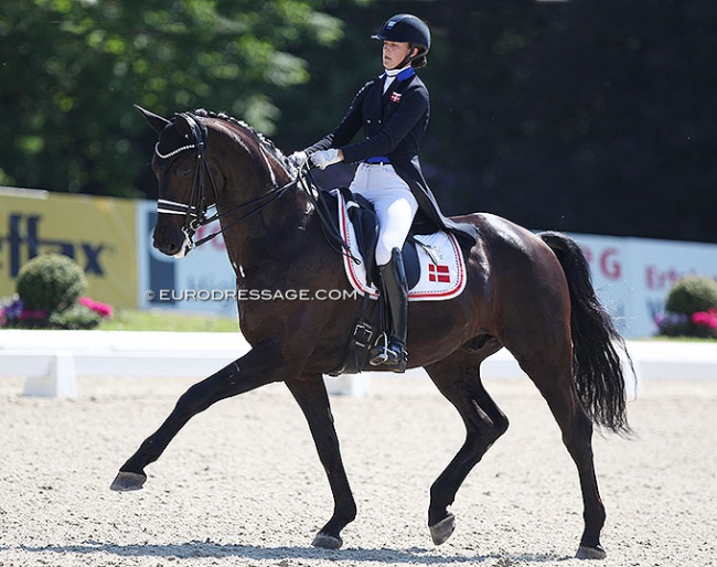 Sophia Ludvigsen and Blue Hors Quintana at the 2021 CDIO-J Hagen :: Photo © Astrid Appels