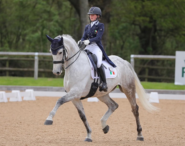 Vicky Campbell and Habouche at the 2021 CDI Wellington Heckfield :: Photo © Lottie Elizabeth