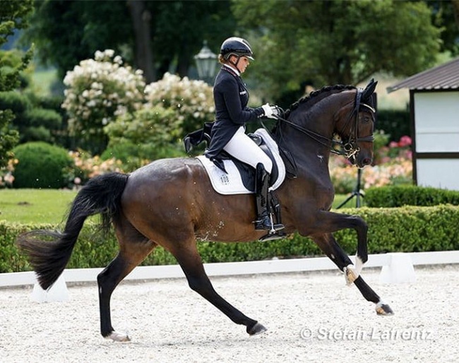 Dorothee Schneider and Showtime at the second German Olympic selection trial in Kronberg :: Photo © Stefan Lafrentz