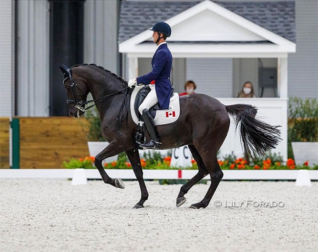 Chris von Martels and Eclips at the 2021 CDI Ocala :: Photo © Lily Forado