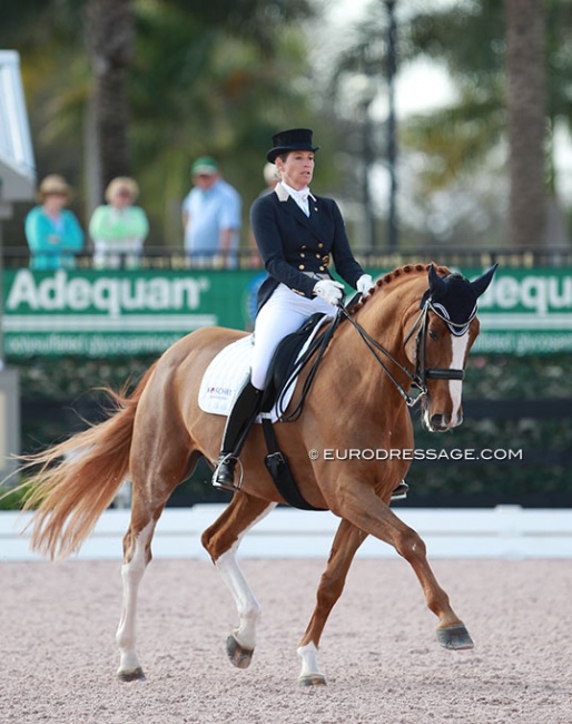 Patricia Koschel and Leuchtfeuer DE at the 2015 CDI Wellington :: Photo © Astrid Appels