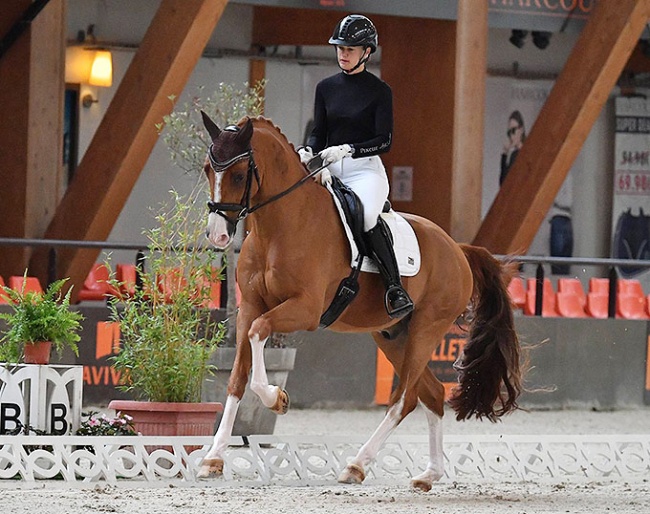 Jessica Michel-Botton and Djembe de Hus at the French WCYH selection trial in Le Mans for 2020 :: Photo © Les Garennes