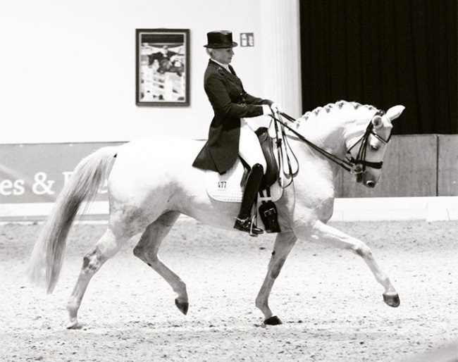 Ilka Boening and Weisse Rose competing in Ankum :: Photo private