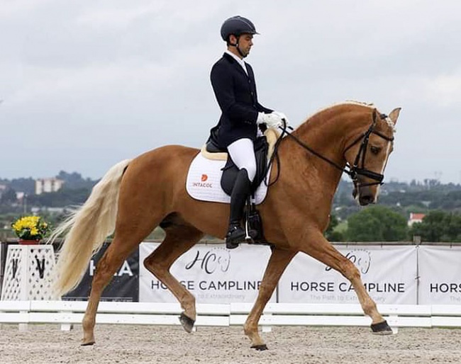 Luis Fernandes on Lavrador at the 2021 CDI Abrantes :: Photo © Rui Pedro Godinho