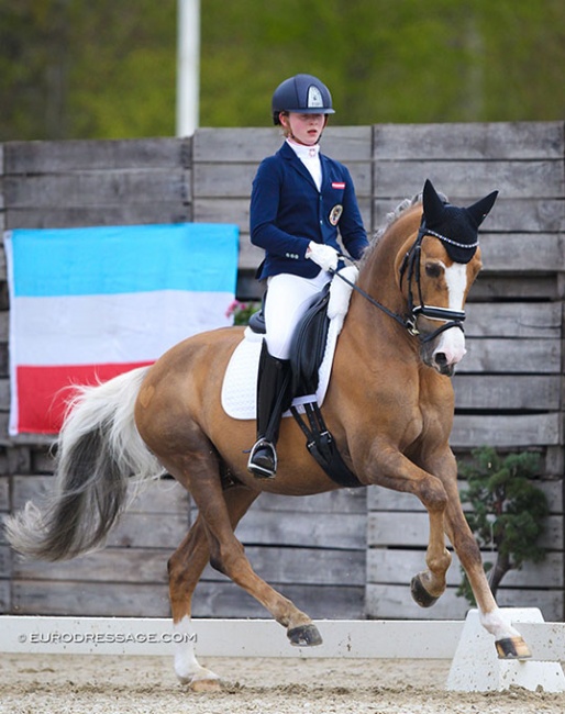 Florentina Jöbstl and Colourfull Cannonball at the 2021 CDI Sint-Truiden :: Photo © Astrid Appels