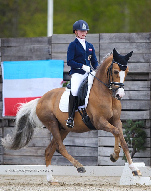 Florentina Jöbstl and Colourfull Cannonball at the 2021 CDI Sint-Truiden :: Photo © Astrid Appels