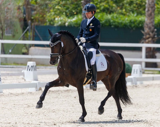 Norteno FS, owned by Yeguada Arroyomonte and ridden by Alberto Garcia-Briñon :: Photo © Lily Forado