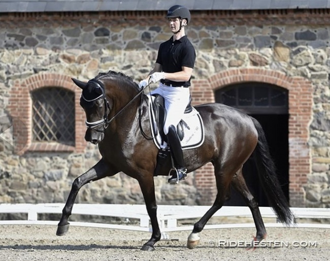 Dennis Kjaer on Polka Fascination M (by Furstenball x Sandro Hit) at the 2021 Danish WCYH selection trial in Vilhelmsborg :: Photo © Ridehesten