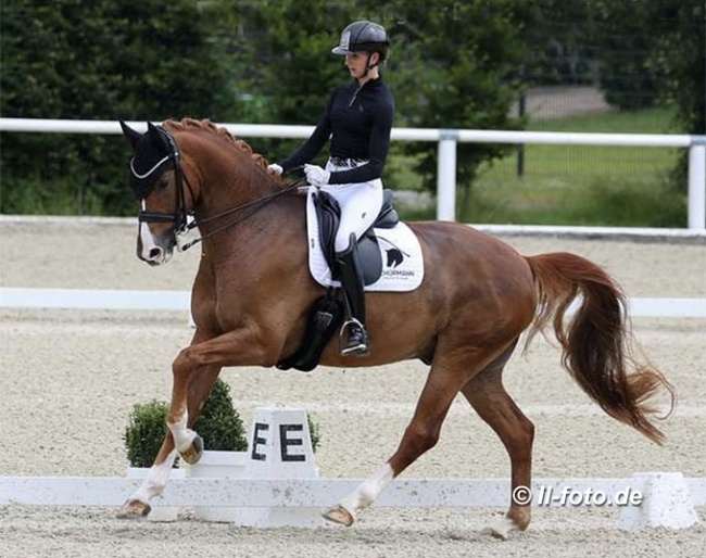 Kira Soddemannn and Senor Charming at the German WCYH selection trial in Warendorf :: Photo © LL-foto