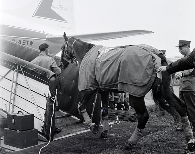 Swiss jumper Frank Lombard loads his horse Page onto the plane in Zurich for the flight to Tokyo :: Photo © Swiss Air Archive