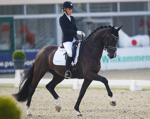 Andrea Winkeler on the Belgian warmblood Powerpoint de Tamise at the 2020 CDI Hagen :: Photo (c) Astrid Appels