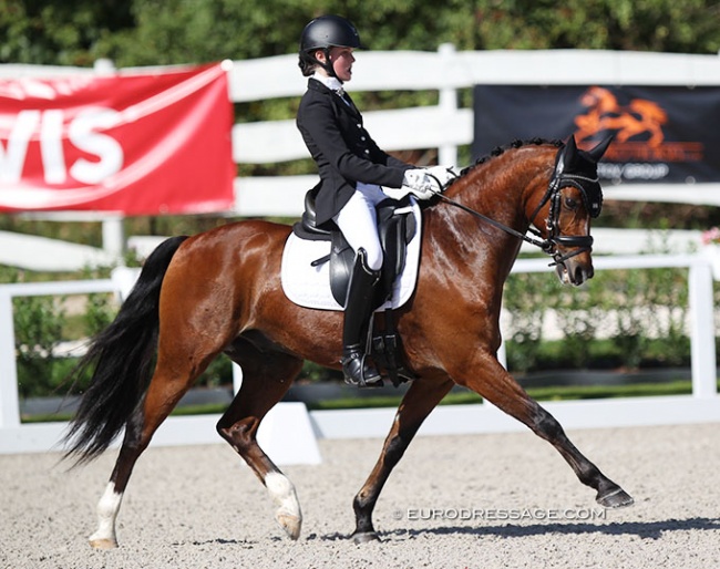 Roosa Salo and Sir Maximus Welshwarrior at the 2020 European Pony Championships in Budapest :: Photo © Astrid Appels