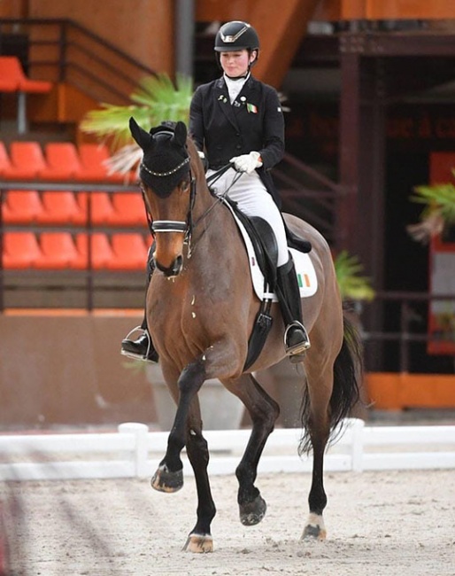 Alex Baker and Dutchman at the 2020 CDI Le Mans :: Photo © Les Garennes