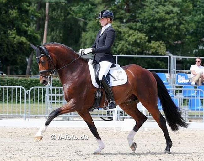 Leonie Richter and the Oldenburg bred Francis Drake at the 2021 Hanoverian Young Horse Championships in Verden :: Photo © LL-foto