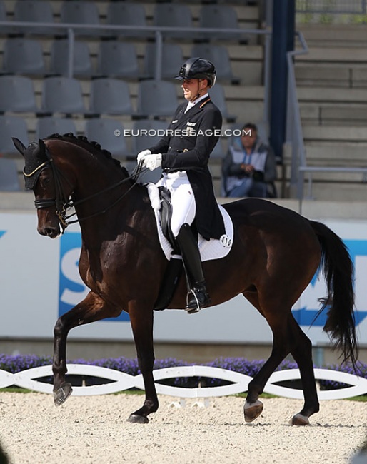 Frederic Wandres and PSI Auction horse Bluetooth OLD at the 2021 CDI Aachen :: Photo © Astrid Appels