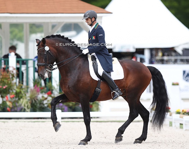 Duarte Nogueira on Beirao at the 2021 CDIO Compiegne :: Photo © Astrid Appels