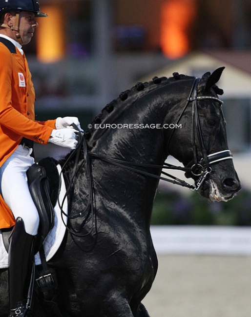 Dream Boy in the Grand Prix Special at the 2021 European Dressage Championships :: Photo © Astrid Appels