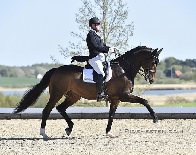 Michael Sogaard and Slaebaeksgaard's Santino :: Photo © Ridehesten