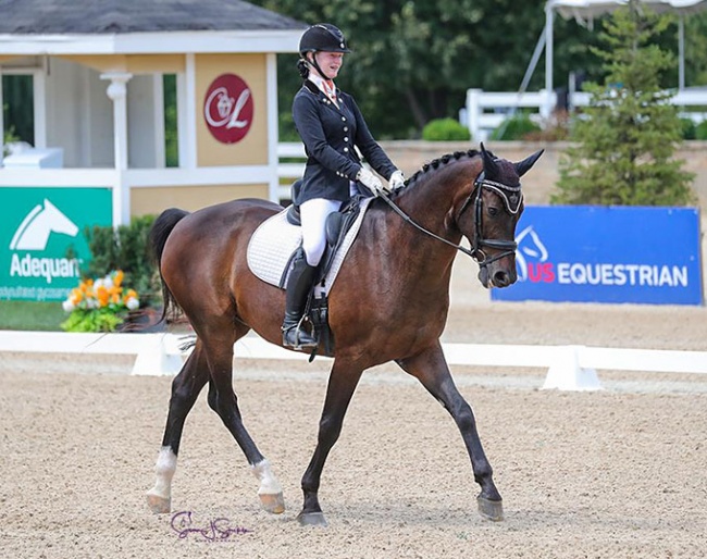 Tesse Geven and Sir Frederico win the Children division at the 2021 U.S. Dressage Championships :: Photo © Sue Stickle