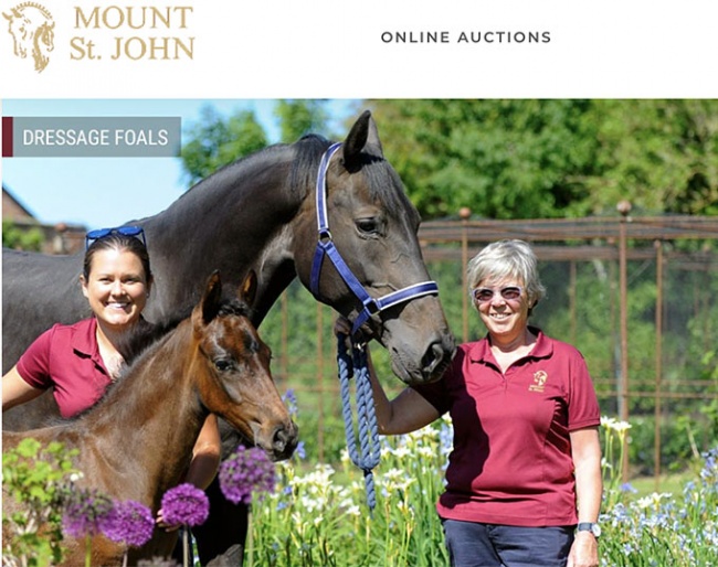 2021 Mount St. John Online Foal Auction