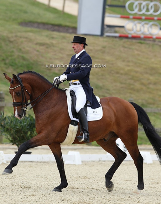 Jon D. Pedersen on his last international competition horse, Jose Kilen, before committing full time to training. Here they rode at the 2012 CDI Leudelange :: Photo © Astrid Appels