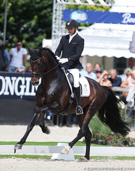 Andreas Helgstrand and Revolution at the 2019 World Championships for Young Dressage Horses :: Photo © Astrid Appels