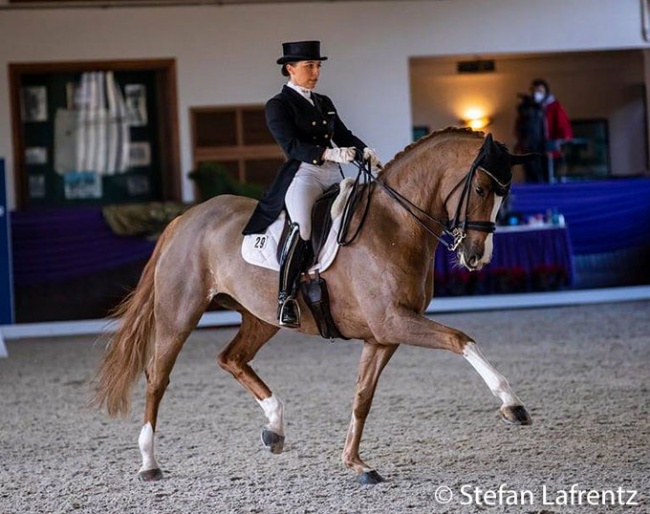 Charlott-Maria Schürmann and Simsalabim OLD at the 2020 Nurnberger Burgpokal Finals in Kronberg :: Photo © Stefan Lafrentz
