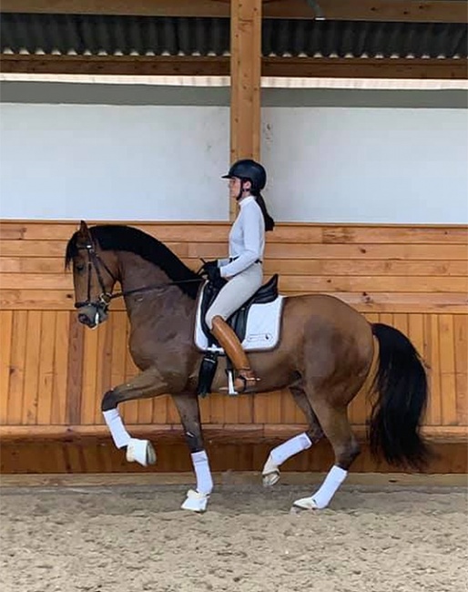 Mathilde Juglaret and Dahlia de Massa schooling at home