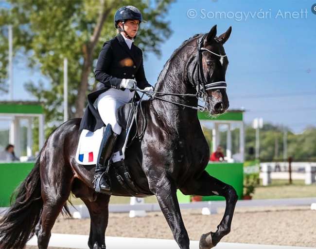 Morgan Barbançon and Sir Donnerhall II OLD at the 2021 CDI-W Fot :: Photo © Anett Somogyvari